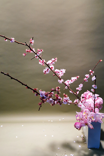 早春の花
