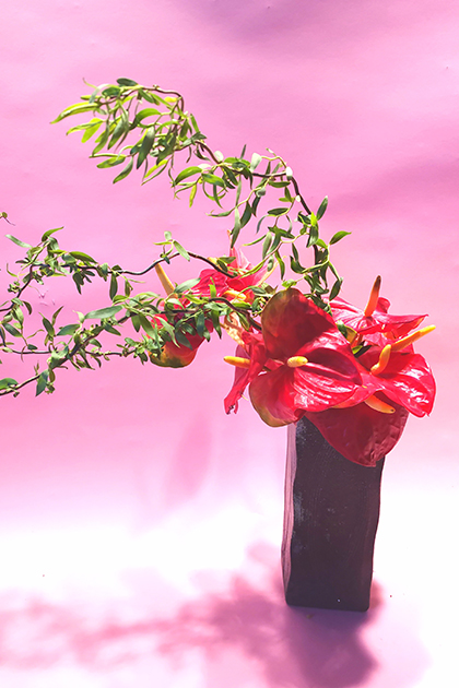 中くらいの花